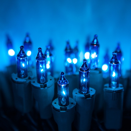 50 PureLock TM Blue Mini Christmas Lights, 6" Spacing, Green Wire