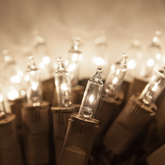 50 PureLock TM Clear Mini Christmas Lights, 4" Spacing, Brown Wire