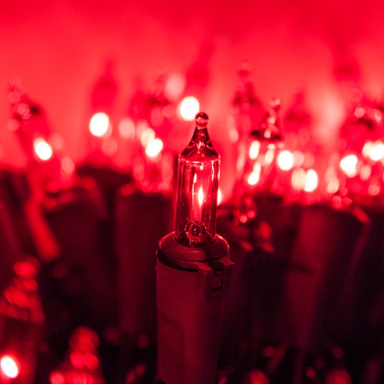 100 Viviluxe TM Red Christmas Mini Lights, 5.5" Spacing, Green Wire