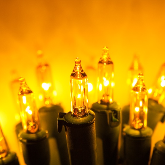 Christmas Lights - 50 Viviluxe TM Gold Christmas Mini Lights, 5.5 50 Viviluxe TM Gold Christmas Mini Lights, 5.5