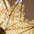 48" Shimmering Warm & Cool White LED Crystal 8 Point Star Tree Topper