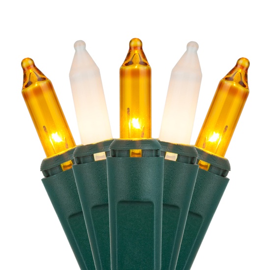 50 Gold, Clear, White Frost Christmas Tree Mini Lights, 6" Spacing, Green Wire