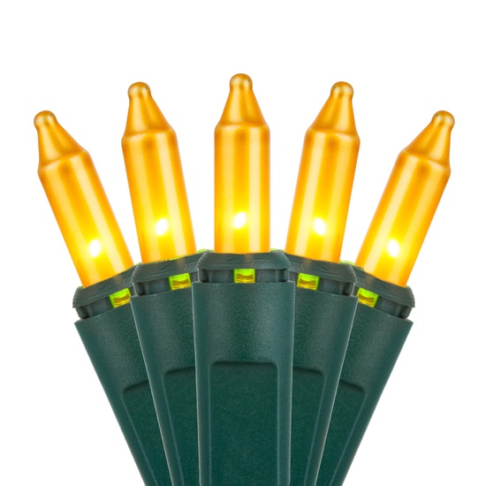 100 Gold Frost Christmas Tree Mini Lights, 6" Spacing, Green Wire