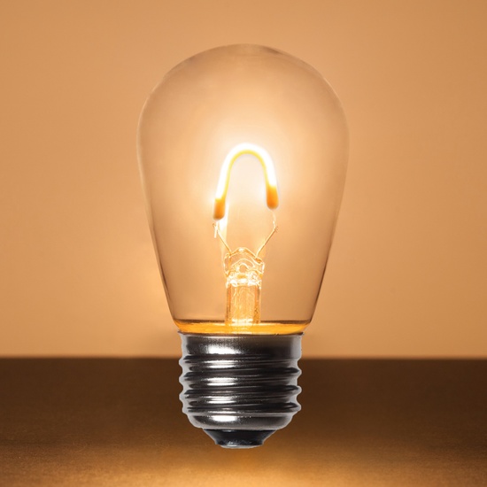 S14 120V Warm White FlexFilament TM LED Edison Bulb, Transparent Glass LED Light Bulbs