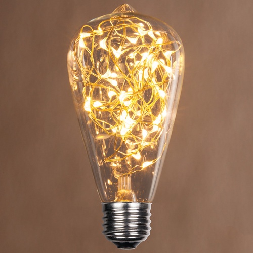 ST64 Warm White LEDimagine TM Fairy Light Bulb