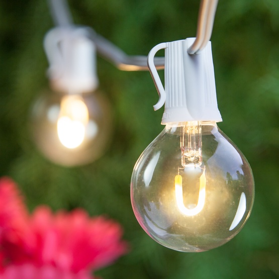 25' G50 Warm White FlexFilament TM LED Globe String Lights, E17 Base, White Wire
