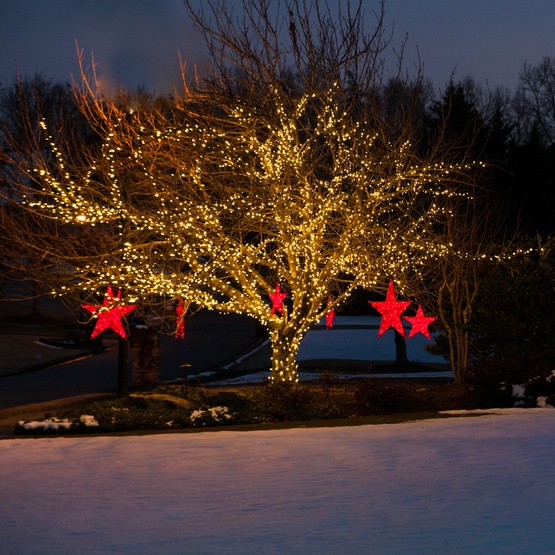 50 Warm White Outdoor LED Christmas Tree Lights, 4" Spacing