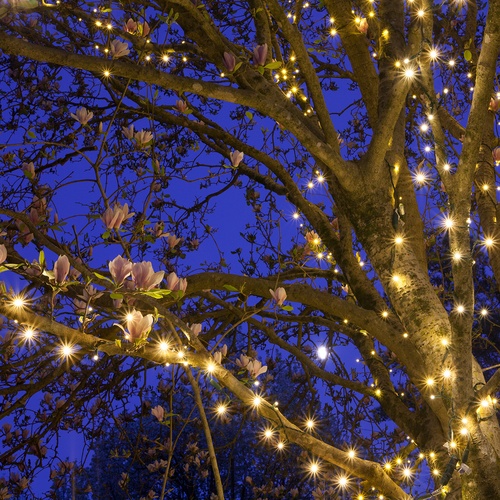 50 Warm White Outdoor LED Christmas Tree Lights, 4" Spacing