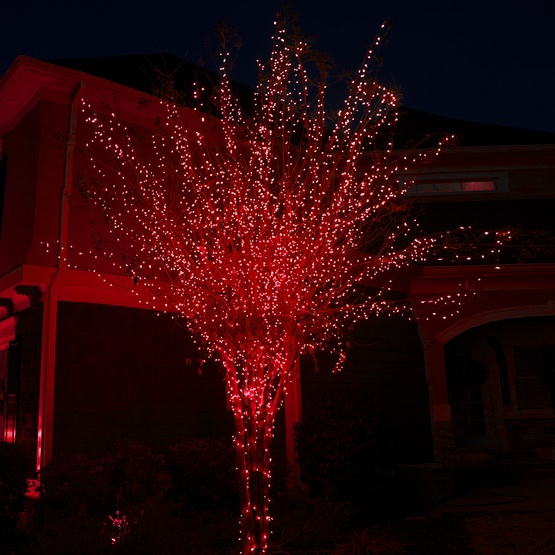 50 Red Outdoor LED Christmas Tree Lights, Mini 5MM, 4" Spacing