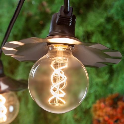 G95 120V Dimmable Warm White FlexFilament TM LED Edison Bulb Globe Light Bulb Transparent Glass LED Light Bulbs