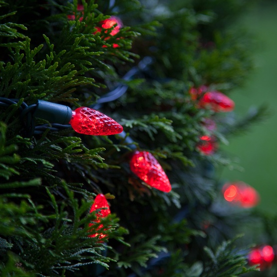LED Christmas Lights 70 C6 Red LED String Lights, 4" Spacing