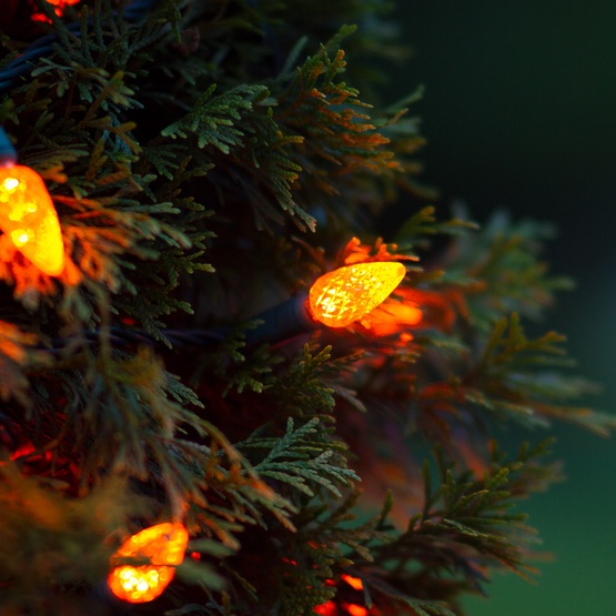 LED Christmas Lights 70 C6 Orange LED String Lights, 4" Spacing