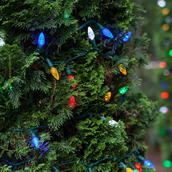 LED Christmas Lights 70 C6 Multi Color LED String Lights, 4" Spacing