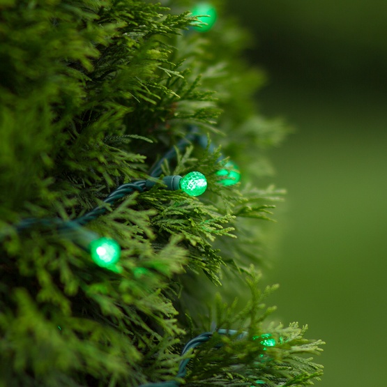 LED Christmas Lights 70 G12 Green LED String Lights, 4" Spacing