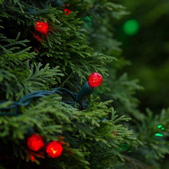 LED Christmas Lights - 70 G12 Red LED String Lights, 4 70 G12 Red LED String Lights, 4
