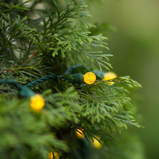 LED Christmas Lights 70 G12 Gold LED String Lights, 4" Spacing