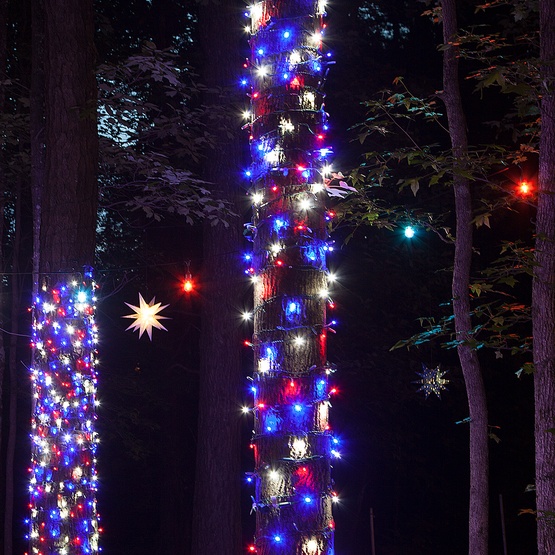70 5mm LED Patriotic Red, White and Blue Lights, 4" Spacing