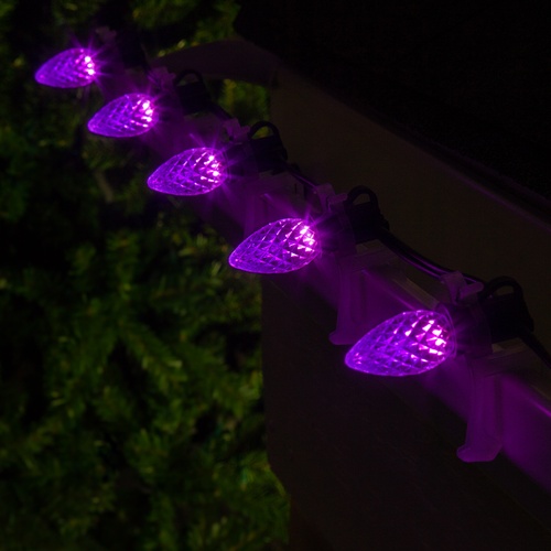 C7 Purple OptiCore Commercial LED Halloween String Lights, 25 Lights, 25'