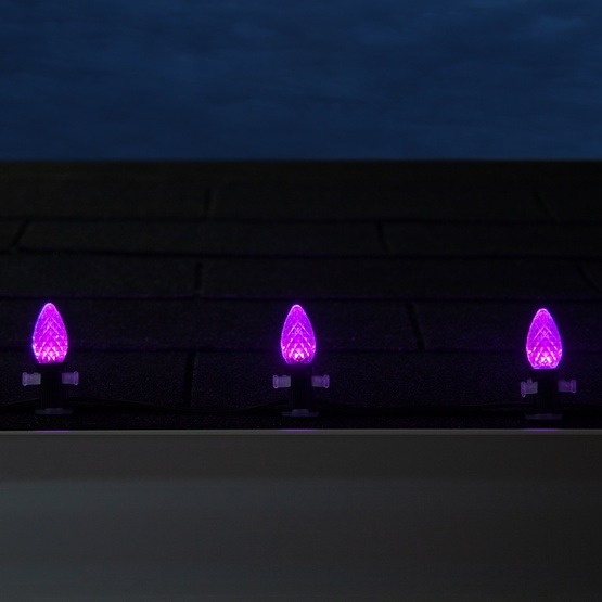 C7 Purple OptiCore Commercial LED Halloween String Lights, 25 Lights, 25'