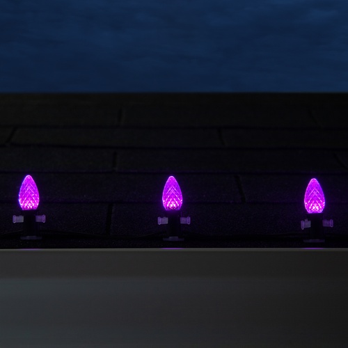 C7 Purple OptiCore Commercial LED Halloween String Lights, 25 Lights, 25'