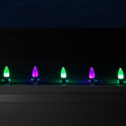 C9 Green / Purple Smooth OptiCore Commercial LED Halloween String Lights, 50 Lights, 50'