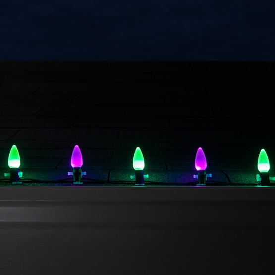 C9 Green / Purple Smooth OptiCore Commercial LED Halloween String Lights, 50 Lights, 50'