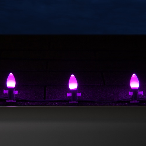 C7 Purple Smooth OptiCore Commercial LED Halloween String Lights Christmas String Lights, 25 Lights, 25'