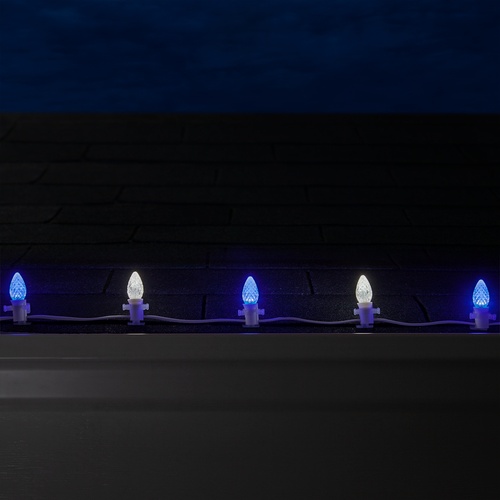 C7 Blue / Cool White OptiCore Commercial LED Christmas String Lights, 50 Lights, 50'