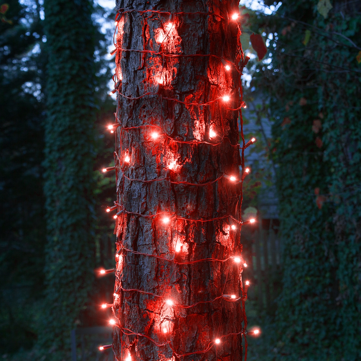Led Net Lights 5mm 20 X 45 Red Stretchnet Pro Tm Trunk Red Led Stretchnet Pro Tm Trunk