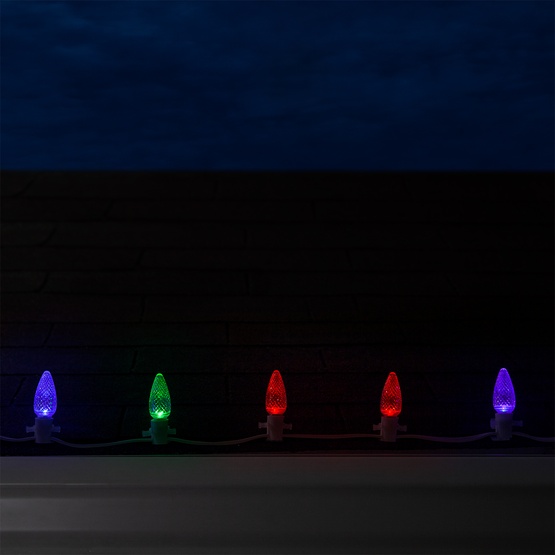 C9 Multicolor Color Change Commercial LED Christmas String Lights, 25 Lights, 25'