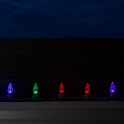 C9 Multicolor Color Change Commercial LED Christmas String Lights, 25 Lights, 25'