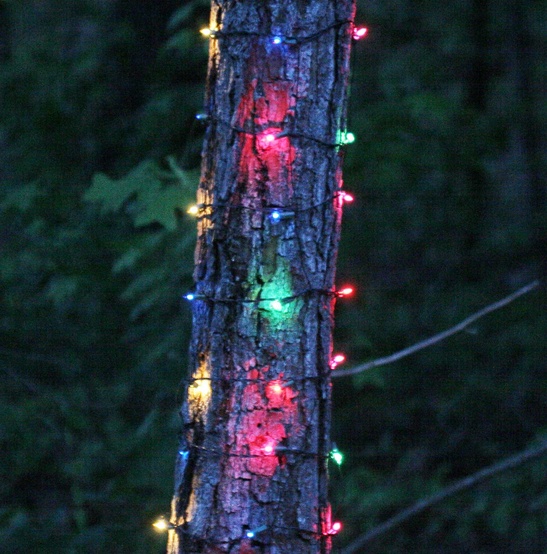 Christmas Net Lights 6 W X 12 H Trunk Wrap 150 Multi Red Net Lights 6 W X 12 H Trunk Wrap