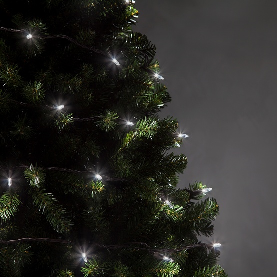 50 T5 Cool White LED Christmas Tree Lights, 6" Spacing, Brown Wire