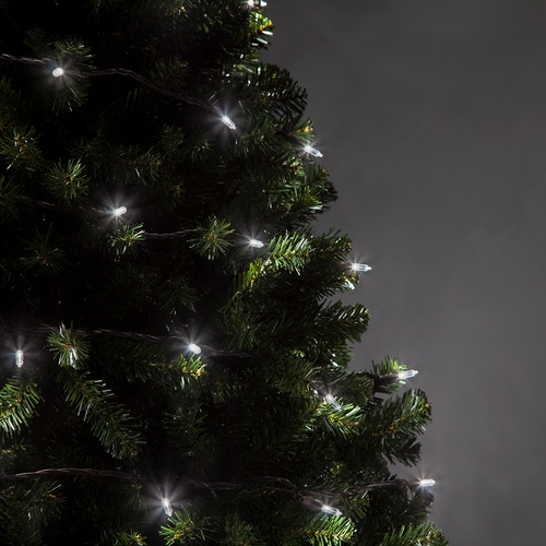 50 T5 Cool White LED Christmas Tree Lights, 6" Spacing, Brown Wire