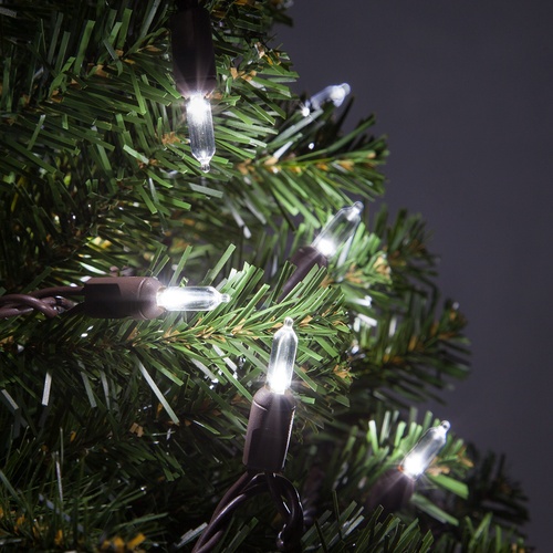 50 T5 Cool White LED Christmas Tree Lights, 6" Spacing, Brown Wire