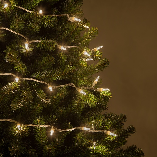 50 T5 Warm White LED Christmas Tree Lights, 4" Spacing, White Wire