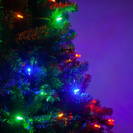 50 T5 Multi Color LED Christmas Tree Lights, 6" Spacing