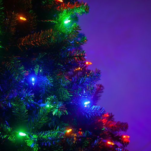 50 T5 Multi Color LED Christmas Tree Lights, 6" Spacing