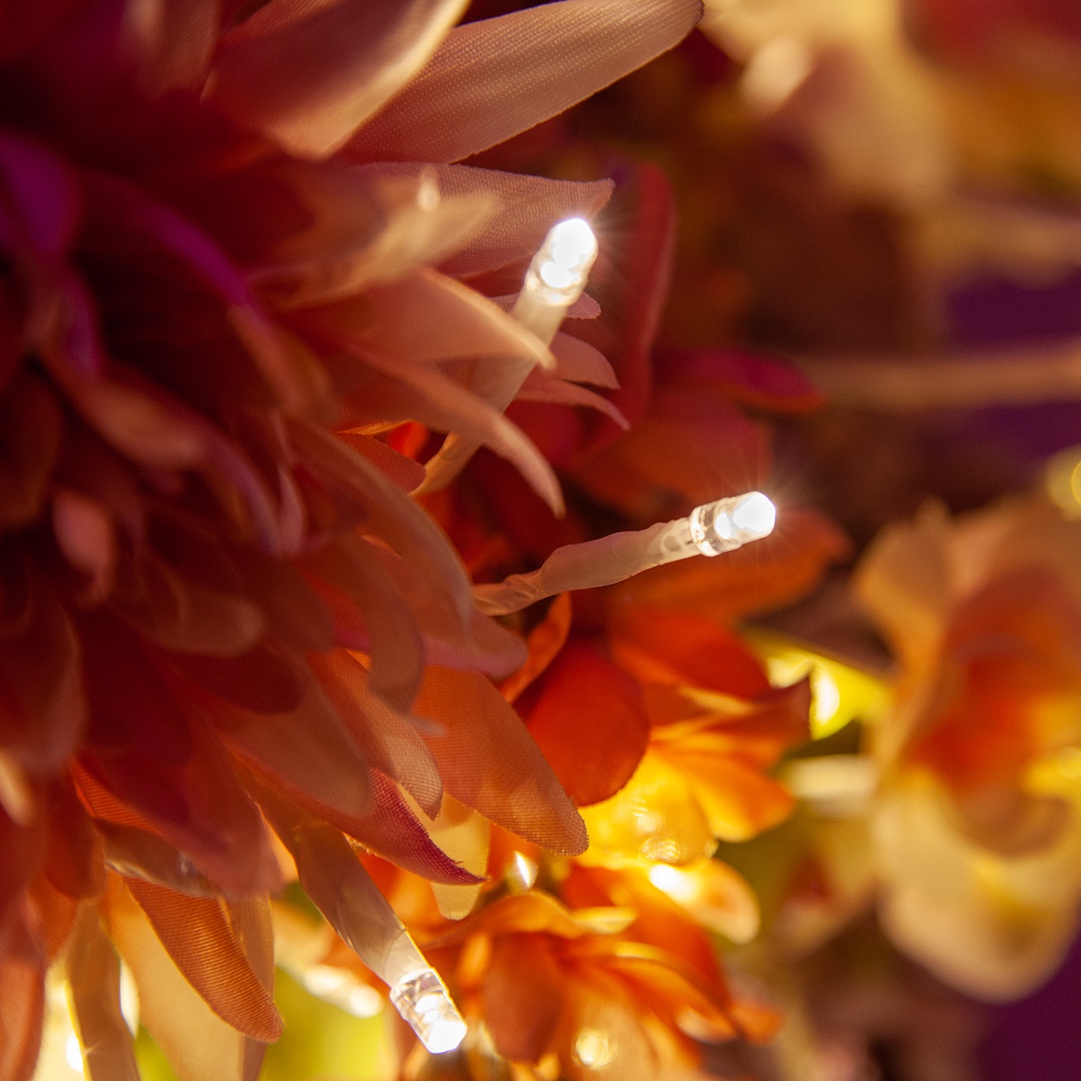 Wintergreen Lighting Starburst Lighted Branches - Thumbnail 5