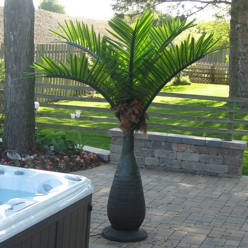 7.5' LED Bottle Palm Tree - Natural Green