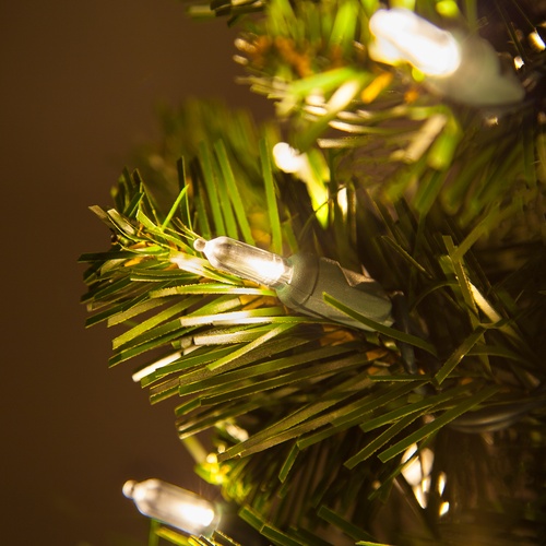 2' Walkway Pre-Lit Winchester Fir Tree, 50 Warm White LED Lights