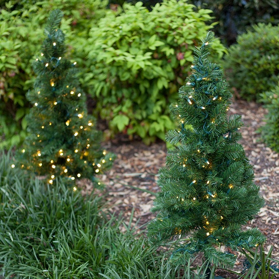 2' Walkway Pre-Lit Winchester Fir Tree, 50 Warm White LED Lights