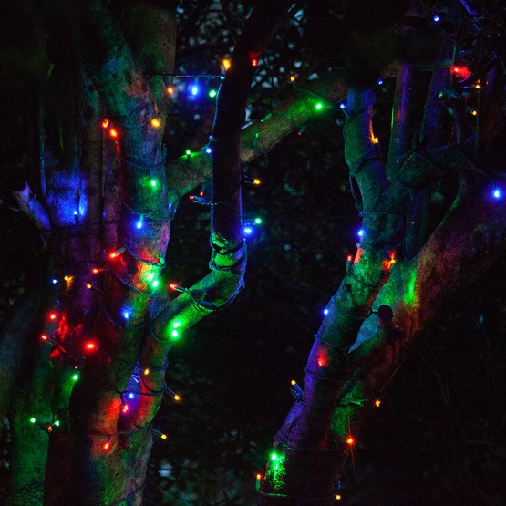50 5mm Multi Color SoftTwinkle LED Christmas Lights, 4" Spacing