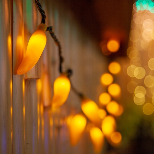 Novelty Lights Chili Pepper Light Set, 35 Yellow Lights