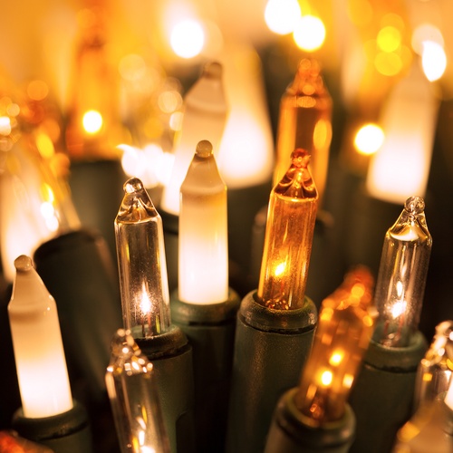 Christmas Lights 50 Gold, Clear, White Frost Christmas Tree Mini Lights, 6" Spacing, Green Wire