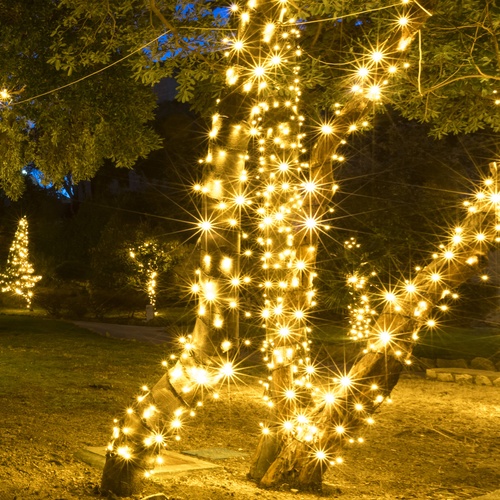 70 5mm Warm White LED Christmas Lights, 4" Spacing, Contractor Pack