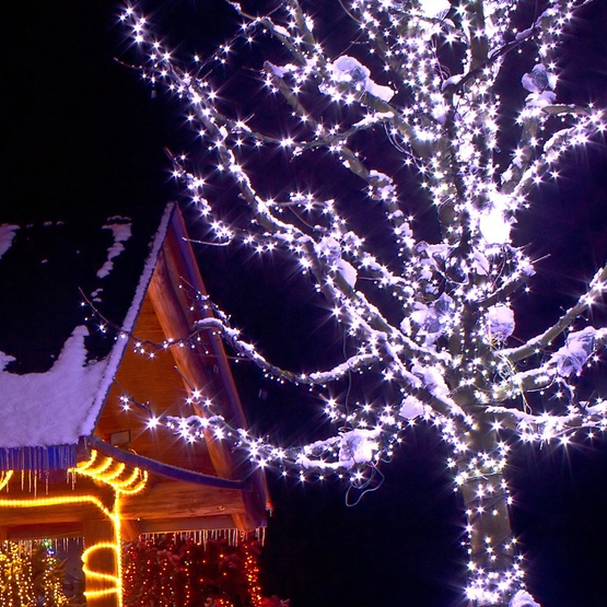70 5mm Cool White LED Christmas Lights, 4" Spacing
