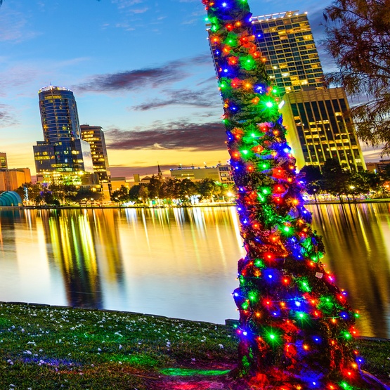 50 5mm Multi Color LED Christmas Lights, 6" Spacing