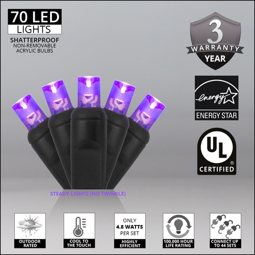 70 5mm Purple LED Halloween Lights, 4" Spacing, Black Wire