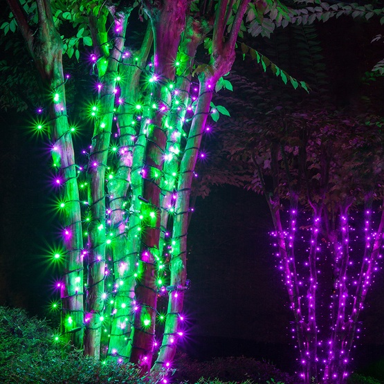 50 5mm Green LED Christmas Lights, 6" Spacing